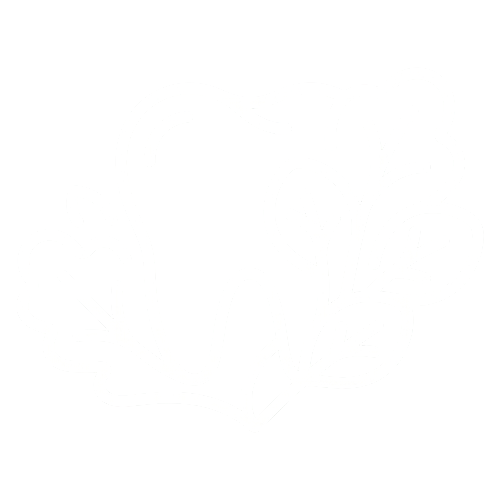 TE3 - 已編輯